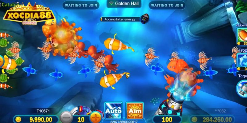 Chiến lược chơi Bombing Fishing từ cao thủ