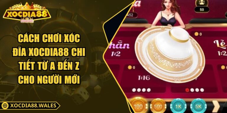 Cách Chơi Xóc Đĩa Xocdia88 Chi Tiết Từ A Đến Z Cho Người Mới
