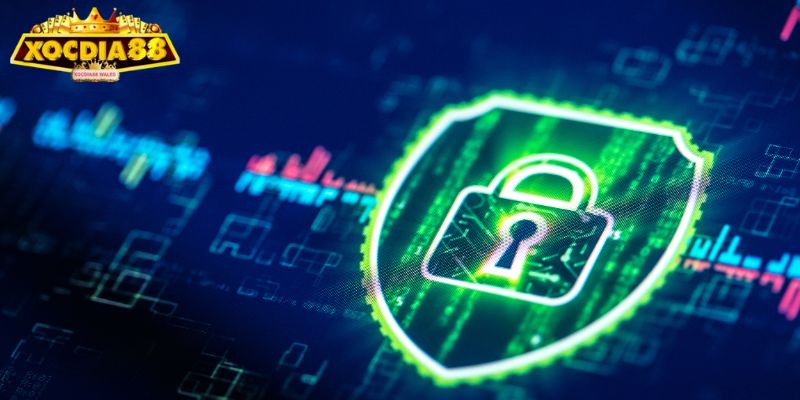 Chính Sách Bảo Mật 1 Quy trình thu thập dữ liệu