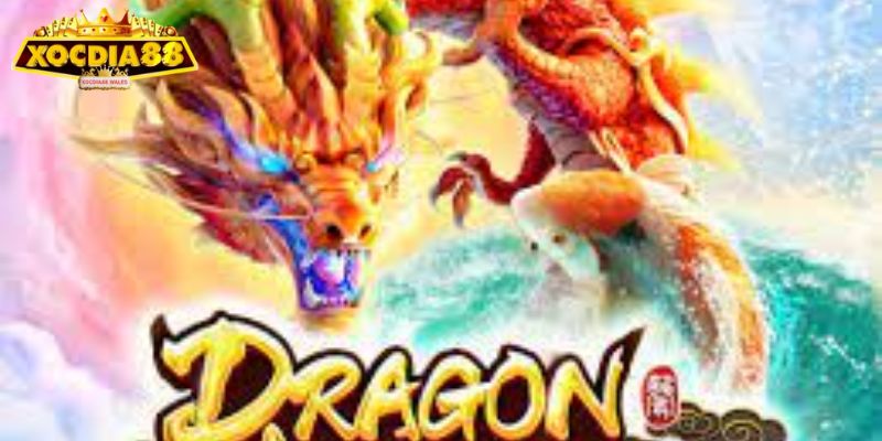 Tại sao người tham gia nên chọn Xocdia88 để giải trí 