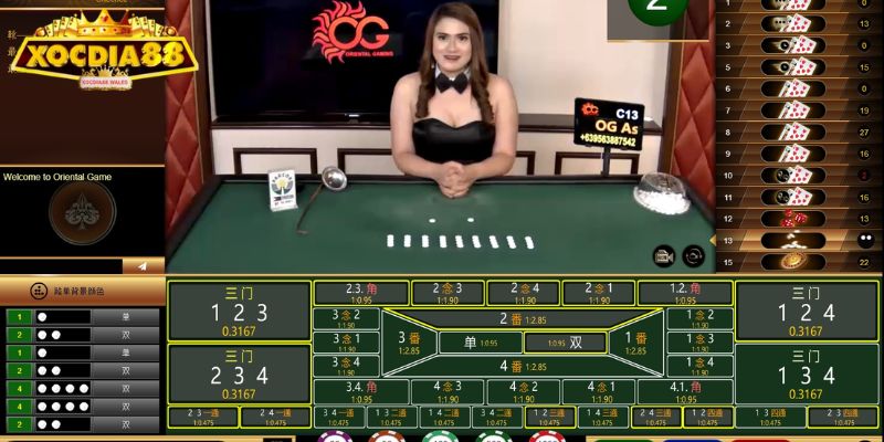 Các loại cược phổ biến trong Fantan tại XOCDIA88