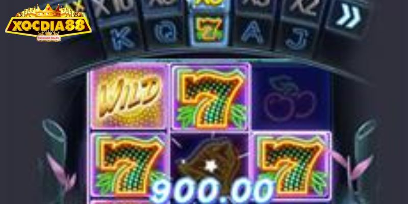 Những mẹo cược hay và hiệu quả cho newbie 