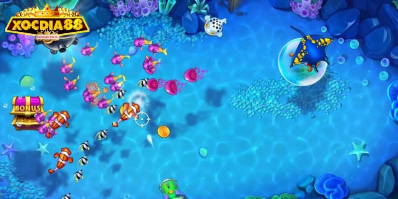 Bí quyết hiệu quả giúp bạn thắng lớn