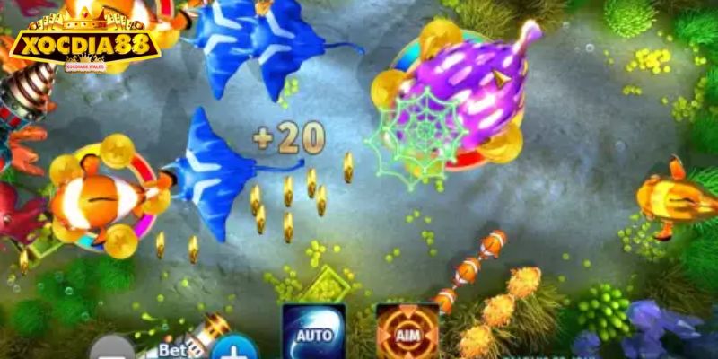 Cơ chế đổi thưởng minh bạch của mega fishing