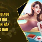 Phỏm Xocdia88 – Trò Chơi Bài Trực Tuyến Hấp Dẫn Hàng Đầu