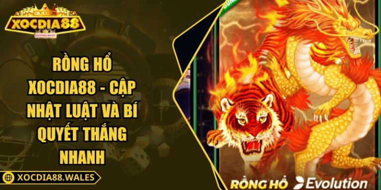 Rồng Hổ XOCDIA88 - Cập Nhật Luật Và Bí Quyết Thắng Nhanh