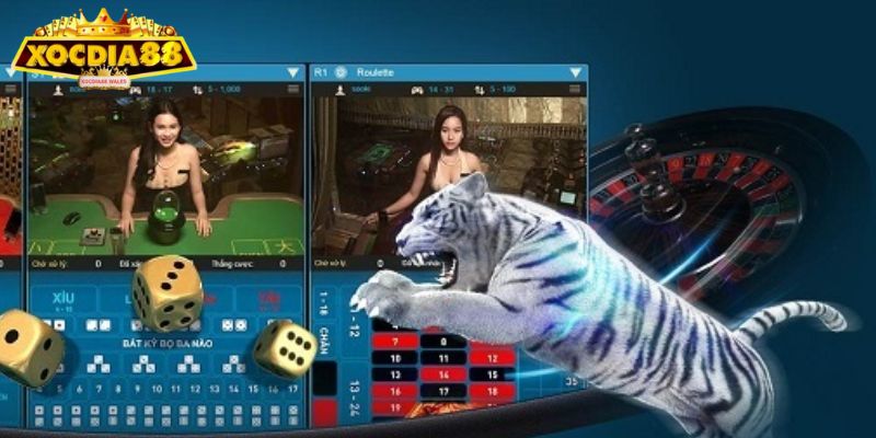 Rồng Hổ XOCDIA88 - Cập Nhật Luật Và Bí Quyết Thắng Nhanh 3 Hạn chế đặt cửa Hòa